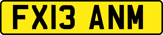 FX13ANM