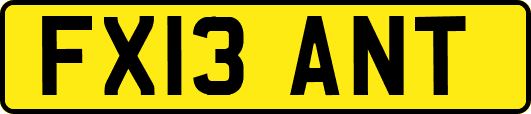 FX13ANT
