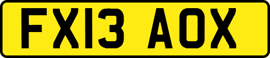 FX13AOX
