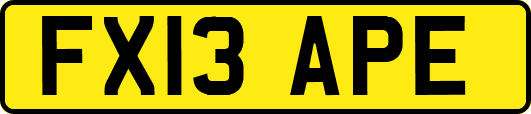 FX13APE