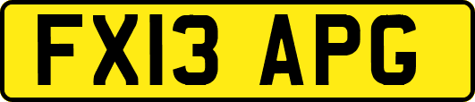 FX13APG
