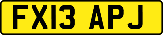 FX13APJ