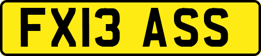 FX13ASS