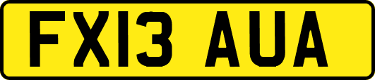 FX13AUA