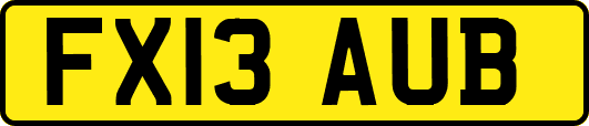 FX13AUB