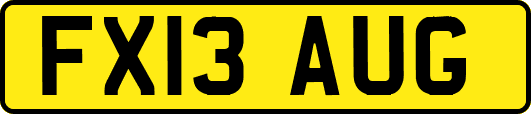 FX13AUG