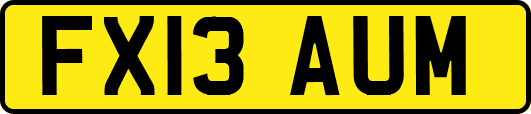 FX13AUM