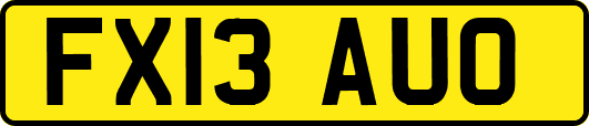 FX13AUO