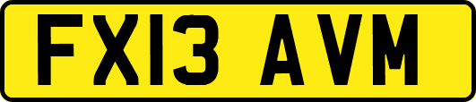 FX13AVM
