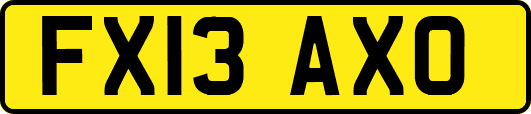 FX13AXO