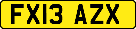 FX13AZX