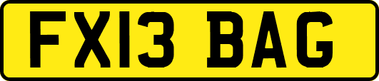 FX13BAG