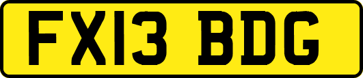 FX13BDG