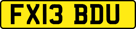 FX13BDU