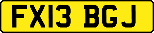 FX13BGJ