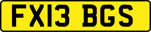 FX13BGS