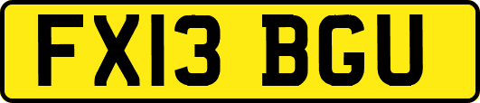 FX13BGU