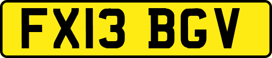 FX13BGV