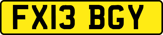 FX13BGY