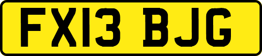 FX13BJG