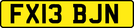 FX13BJN