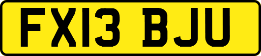 FX13BJU