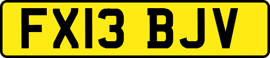 FX13BJV