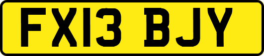 FX13BJY