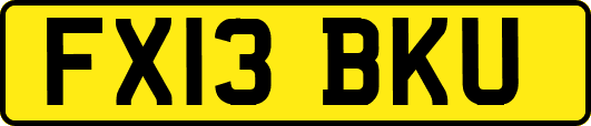 FX13BKU