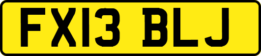 FX13BLJ