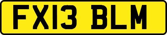 FX13BLM