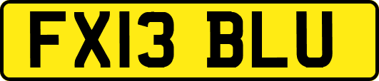 FX13BLU