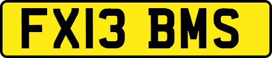 FX13BMS