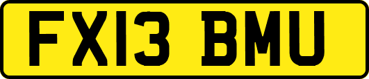 FX13BMU