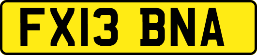 FX13BNA