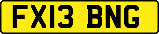 FX13BNG