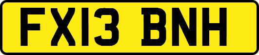 FX13BNH