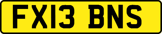 FX13BNS