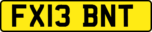 FX13BNT