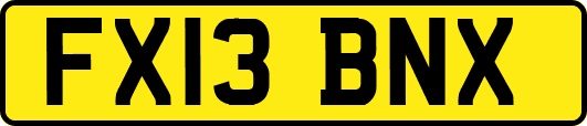 FX13BNX