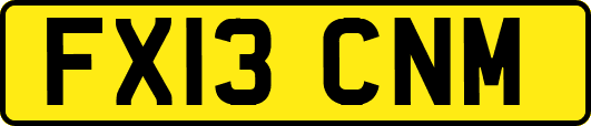 FX13CNM