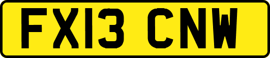 FX13CNW