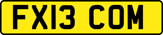 FX13COM