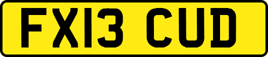 FX13CUD