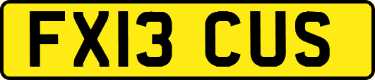 FX13CUS