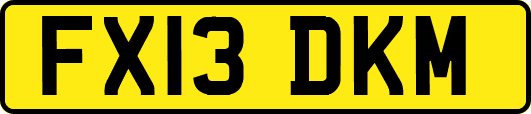 FX13DKM