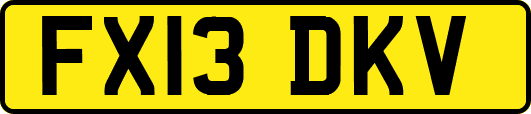 FX13DKV