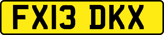 FX13DKX