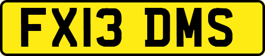 FX13DMS
