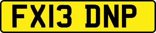 FX13DNP
